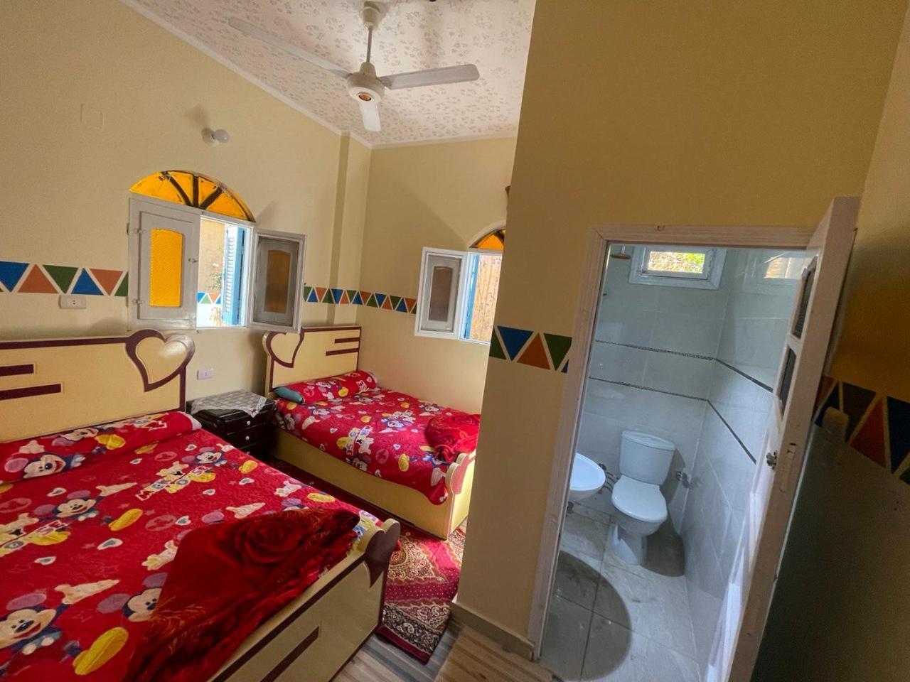 Shater Nubian House 아스완 외부 사진