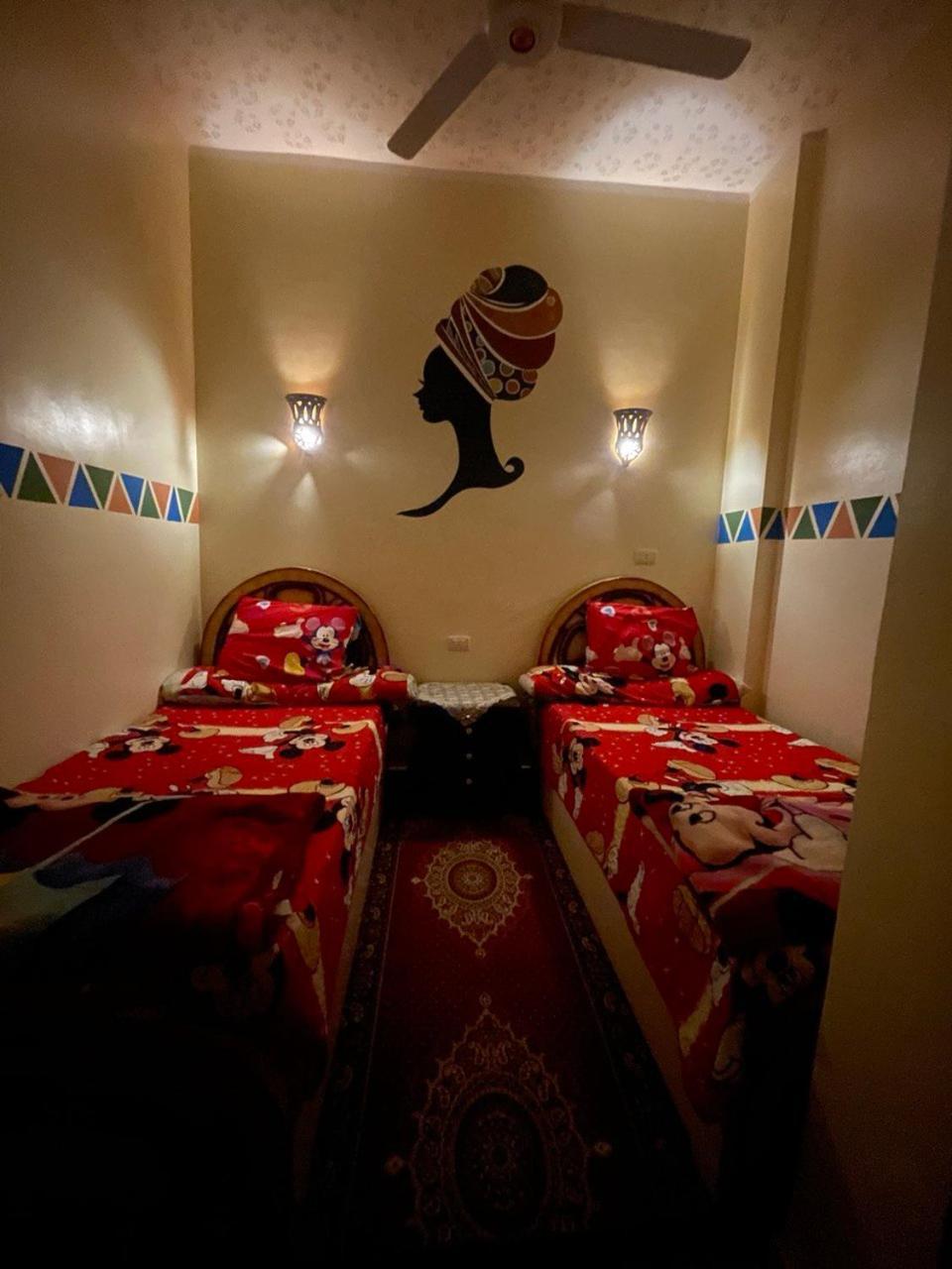 Shater Nubian House 아스완 외부 사진