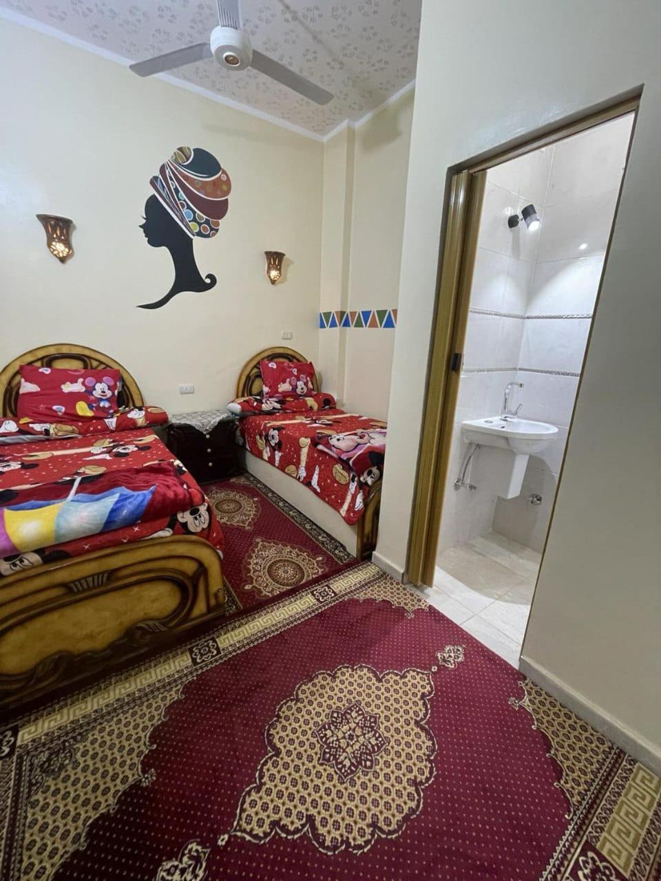 Shater Nubian House 아스완 외부 사진