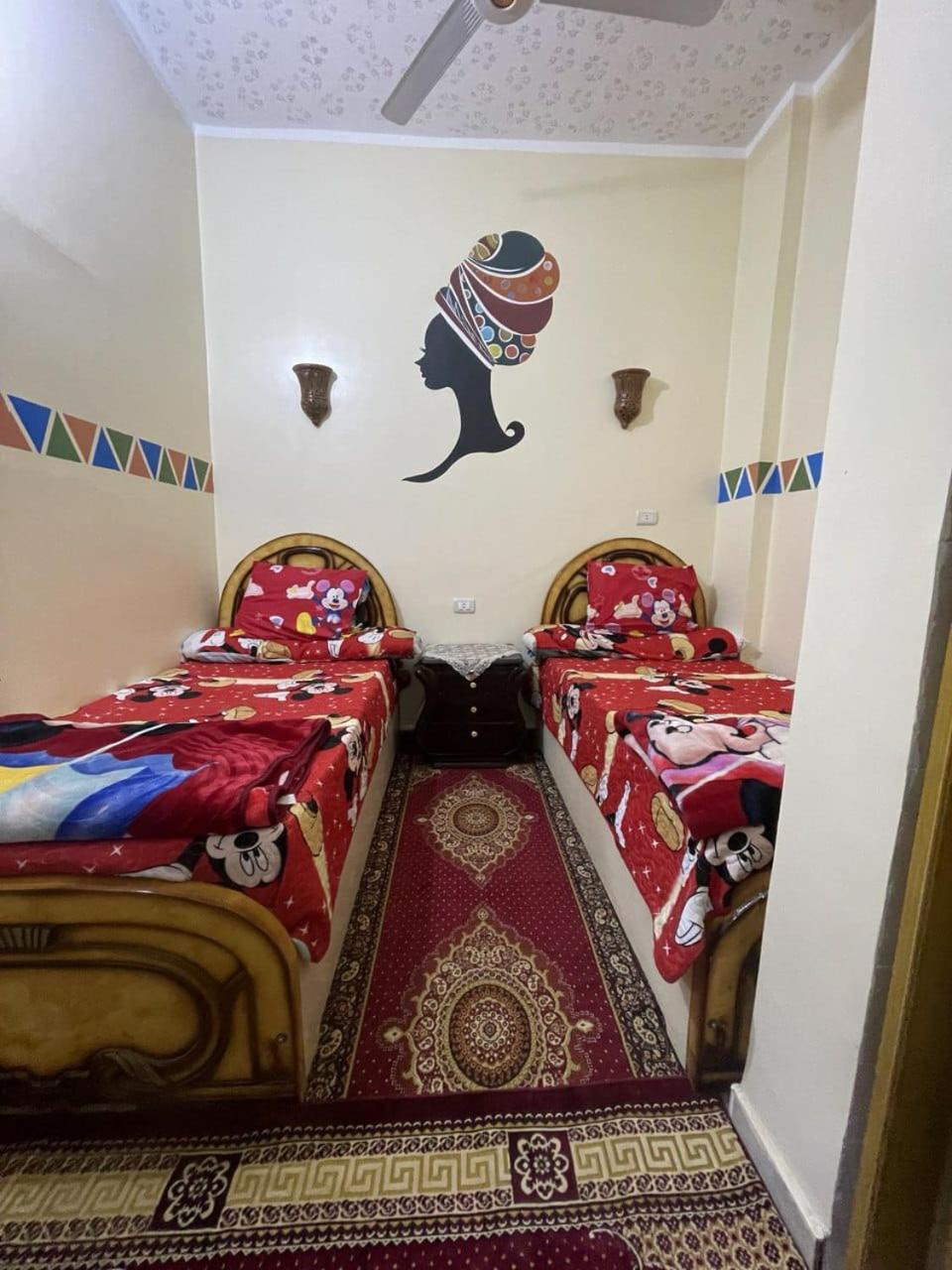 Shater Nubian House 아스완 외부 사진