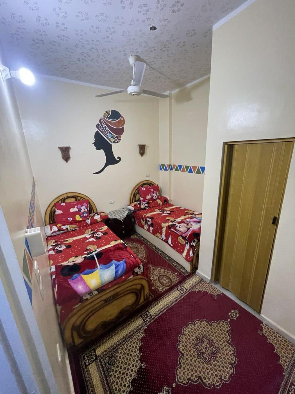 Shater Nubian House 아스완 외부 사진