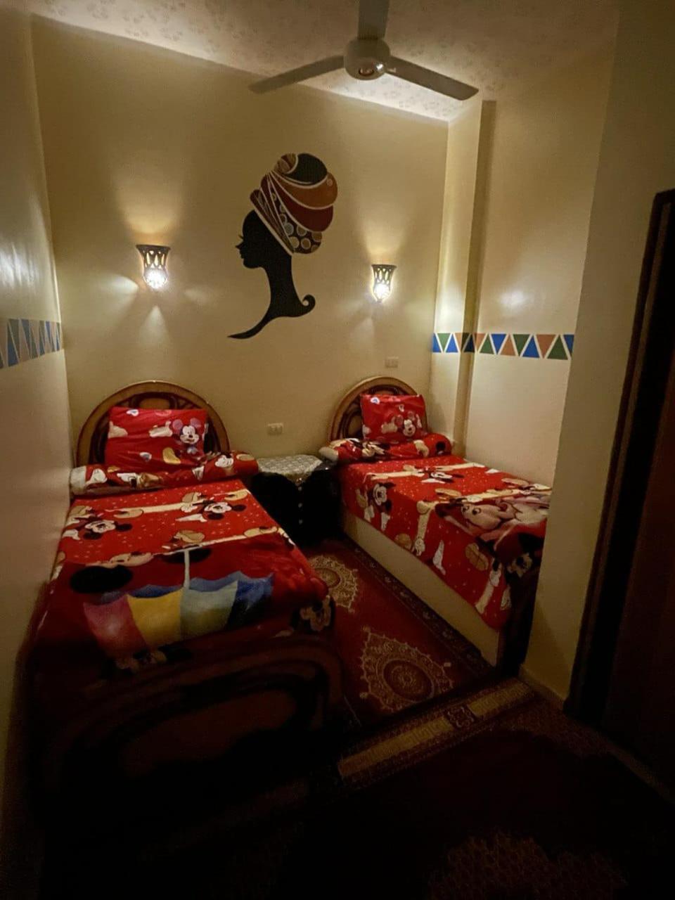 Shater Nubian House 아스완 외부 사진