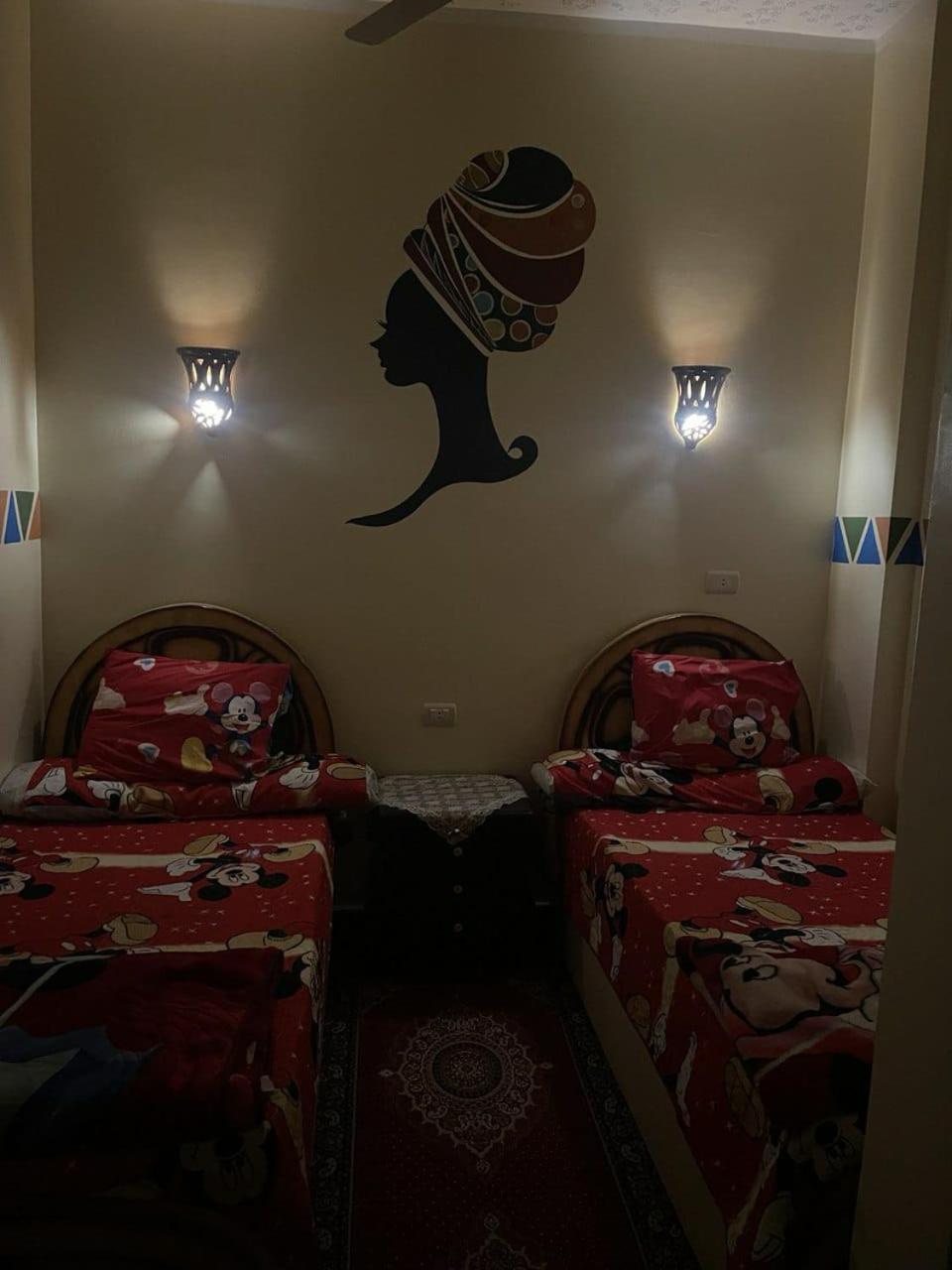 Shater Nubian House 아스완 외부 사진
