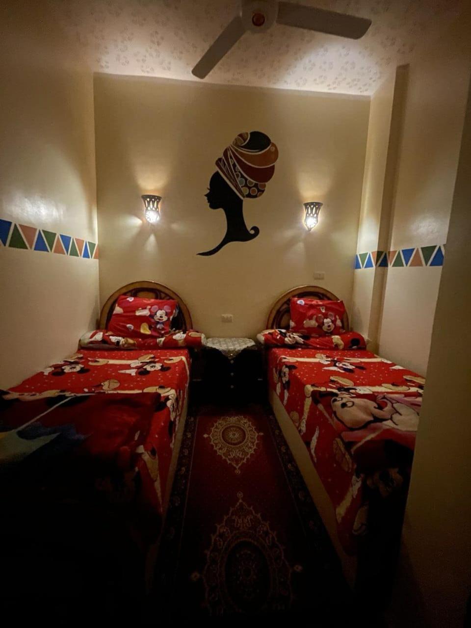 Shater Nubian House 아스완 외부 사진