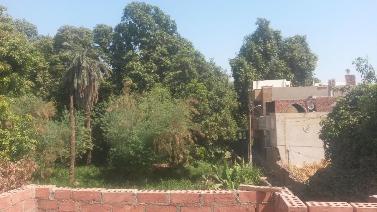Shater Nubian House 아스완 외부 사진